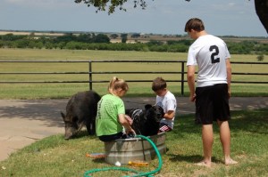 'Carl' taking a sneak peak at kids bathing Lucy, our dog 