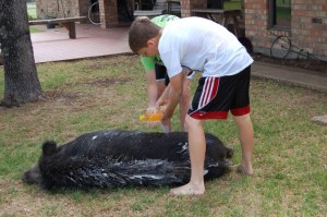 The spa treatment for Carl!